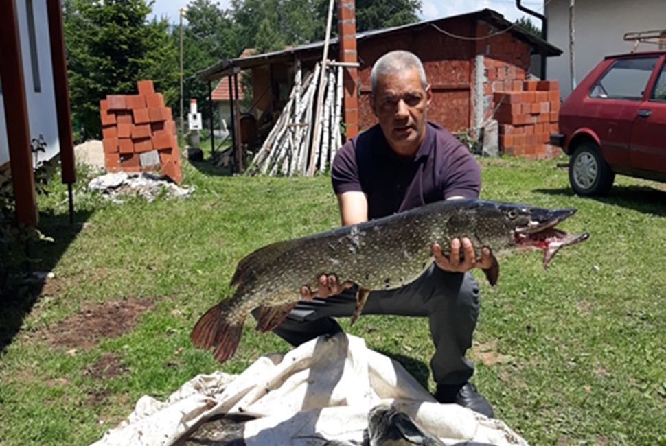 Aktivnosti-Image
