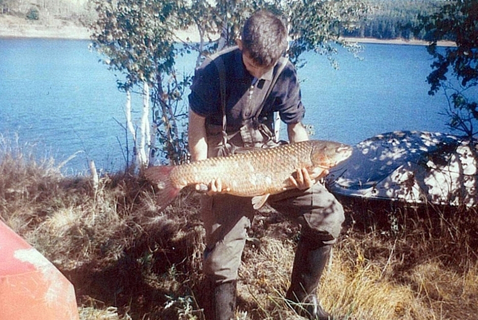 Aktivnosti-Image
