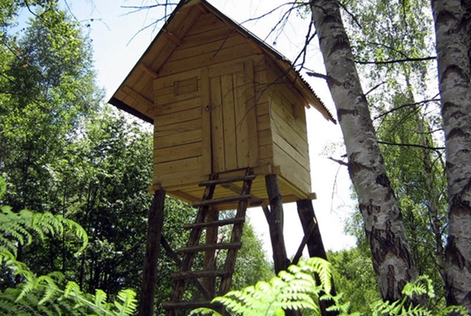 Aktivnosti-Image