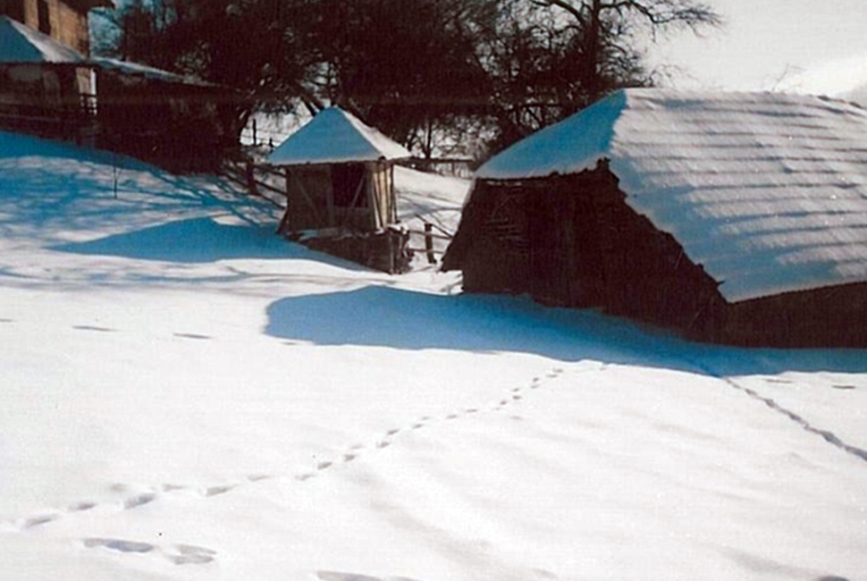Vlasina-Image